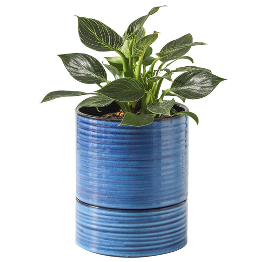 HASENSE Ceramic Plant Pot with Saucer, 6 Inch Planter White Flower Pot for Succulents,for Indoor Plants with Drainage Hole, Snake Plants & Cactus, Modern Decor Gift for Mom