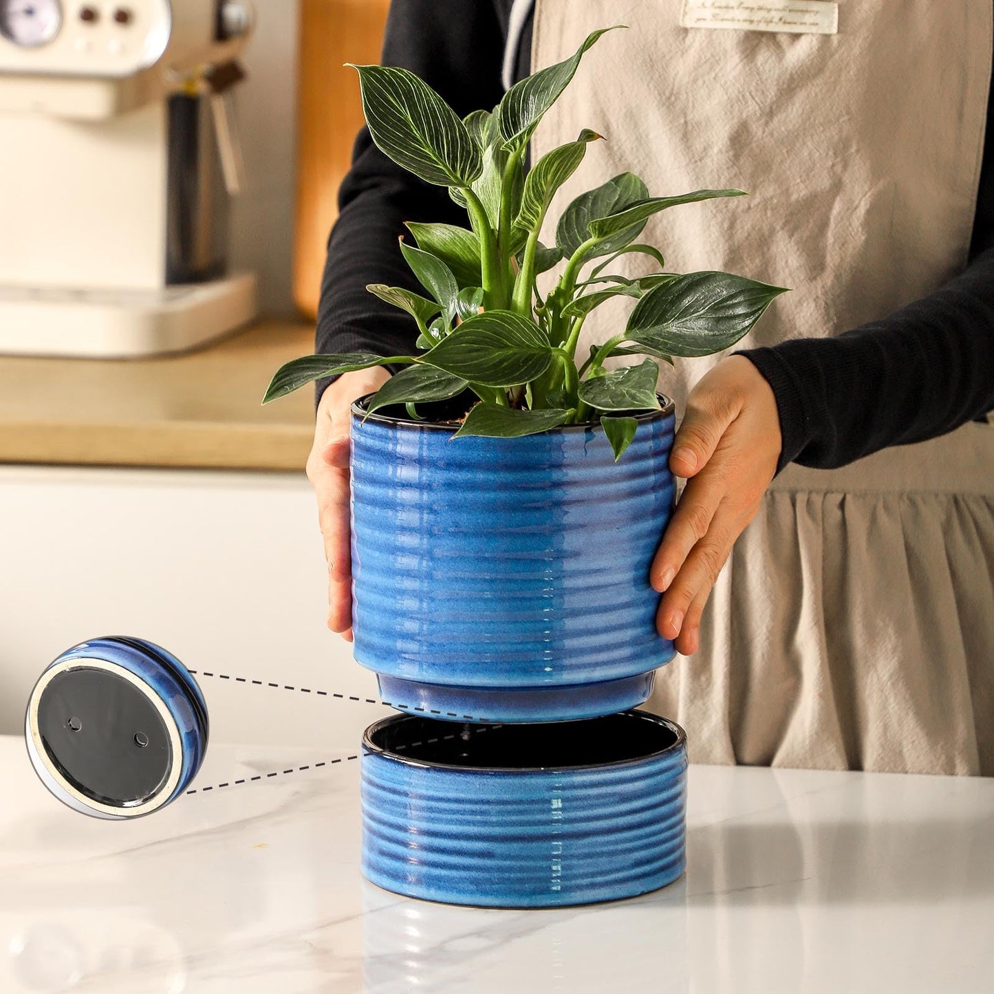 HASENSE Ceramic Plant Pot with Saucer, 6 Inch Planter White Flower Pot for Succulents,for Indoor Plants with Drainage Hole, Snake Plants & Cactus, Modern Decor Gift for Mom